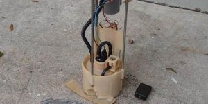 Fuel Pump Assembly