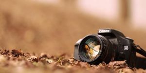Commercial Photography Services