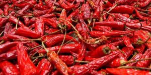 Red Chili
