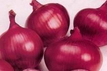 Fresh Red Onion