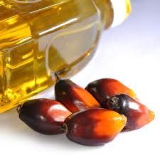 Palm Oil