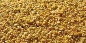 Soybean Meal