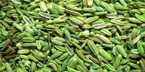 Fennel Seeds