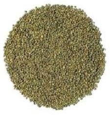 Millets (Bajra)