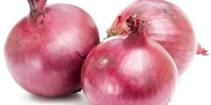 Red Onion
