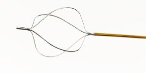 Stone Retrieval Basket