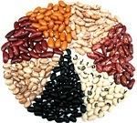 Kidney Beans - Rajma