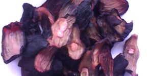 Dehydrated Jamun Slice