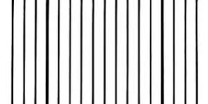 Stainless Steel Grill