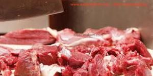 Emu Meat
