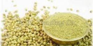 Coriander Powder