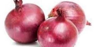 Fresh Red Onion