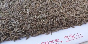 Cumin Seeds