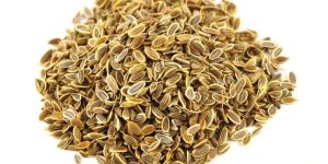 Dill Seeds