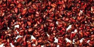Pomegranate Seeds