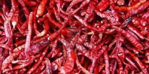 Dried Red Chillies