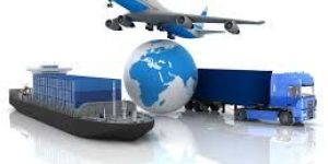 Transportation Service