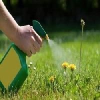 Agricultural Herbicides