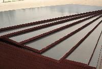 Film Faced Plywood