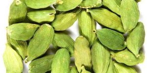 Green Cardamom