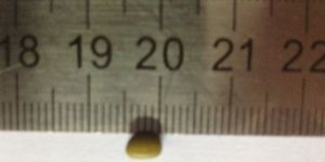 Organic Mung ,Green Gram