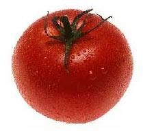 Fresh Tomato