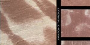 Natural Two Tone Red Sandstone Slabs