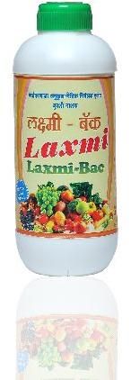 LAXMI BAC Bacteria