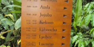 Engraved Wooden Sign Boards