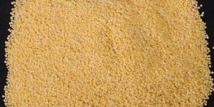 Foxtail Millet Seeds