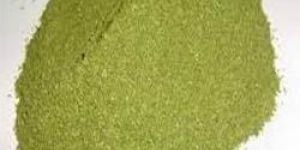 Organic Drumstick Leaves Powder