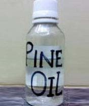 Pine Oil
