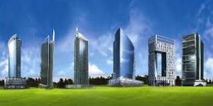 Real Estate Consultant