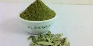 Senna Leaves Powder