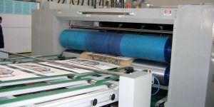 Chain Feed Rotary Die Cutter