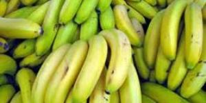 Fresh Banana