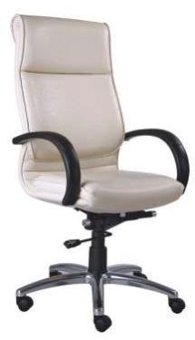Office Director Chairs