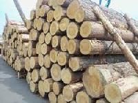 Pine Wood Logs