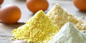 Chicken Egg Powder