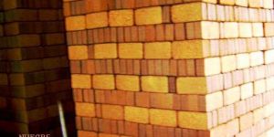 Coir Bricks, Coir Briquettes