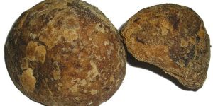 Palm Jaggery