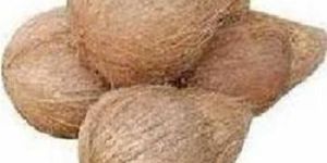 Natural Indian Coconut