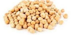 White Chickpeas