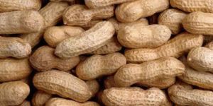 Groundnuts