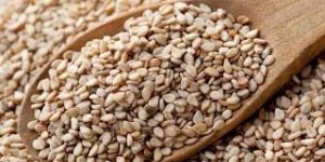 Sesame Oil Seeds