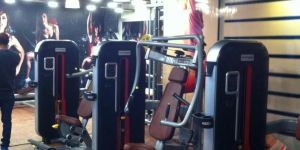 Seated Chest Press