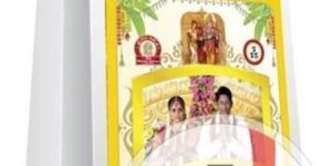 Non Woven Shopping Bags