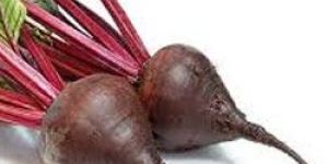 Fresh Beetroot