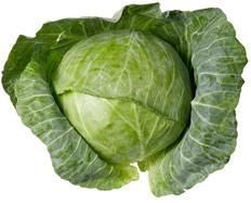Cabbage