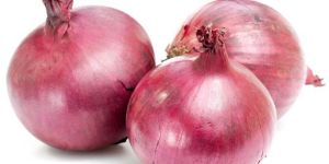 Fresh Onion
